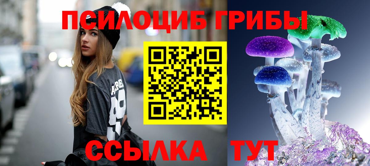 Псилоцибиновые грибы MAGIC MUSHROOMS  Галлюциногенные грибы мицелий  Вход с VPN  Мурино 